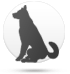 Perro