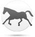 Caballo
