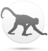 Mono