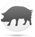 Cerdo
